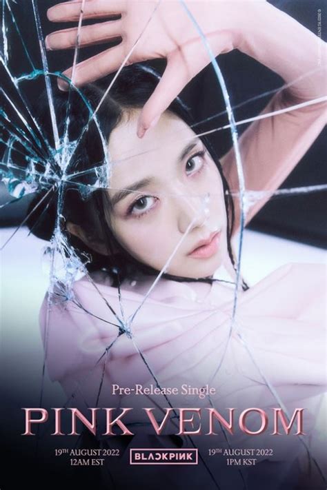 nouvelle chanson pink